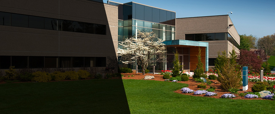Byron Landscapers