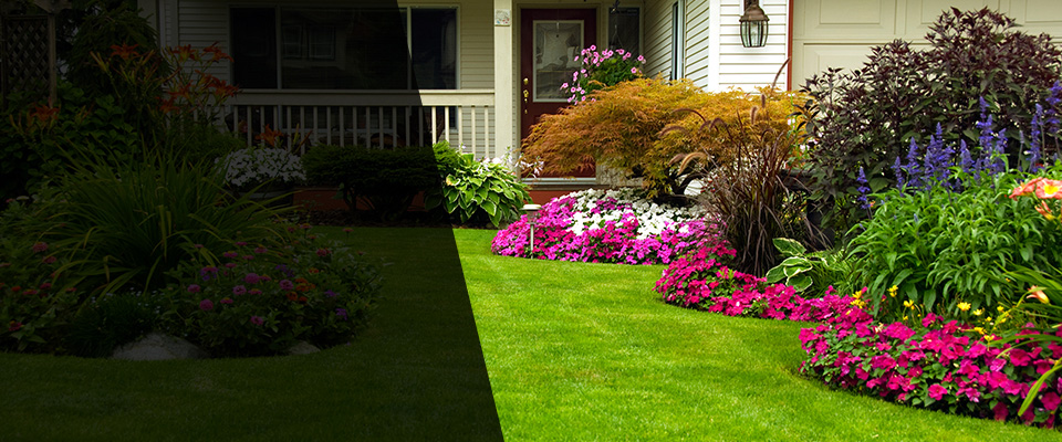 Byron Landscapers