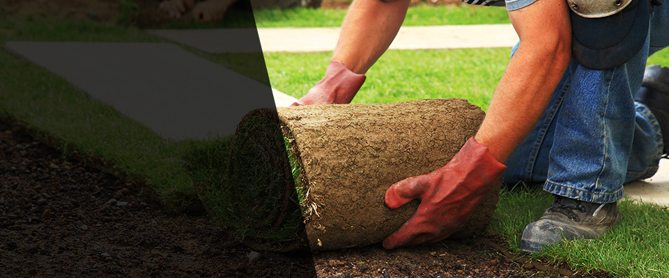 Byron Landscapers